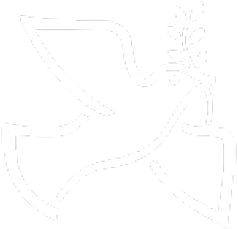 Spirit of Islam Pigeon